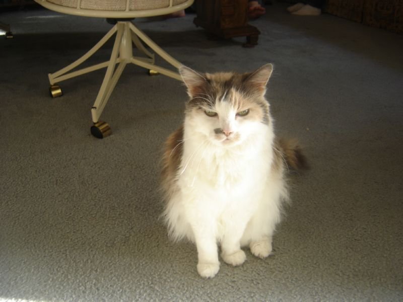 DSC00150